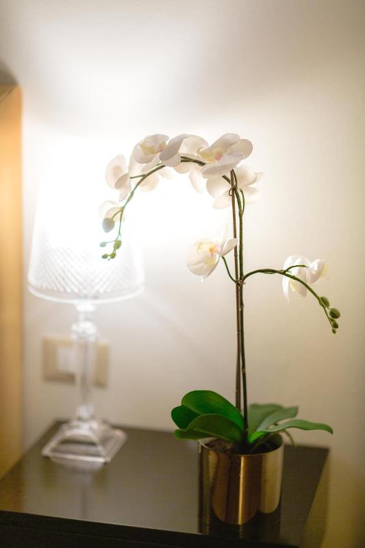 Superior Double or Twin Room image 3