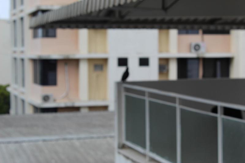 Blu Hostel - image 14