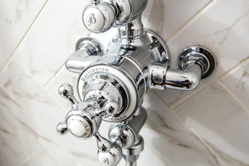 Deluxe King Room image 2