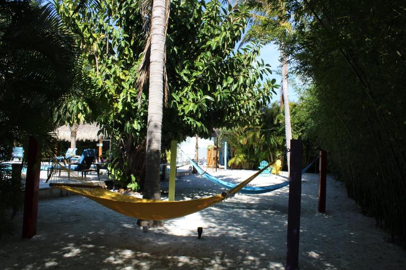 Siesta Key Palms Resort - image 32