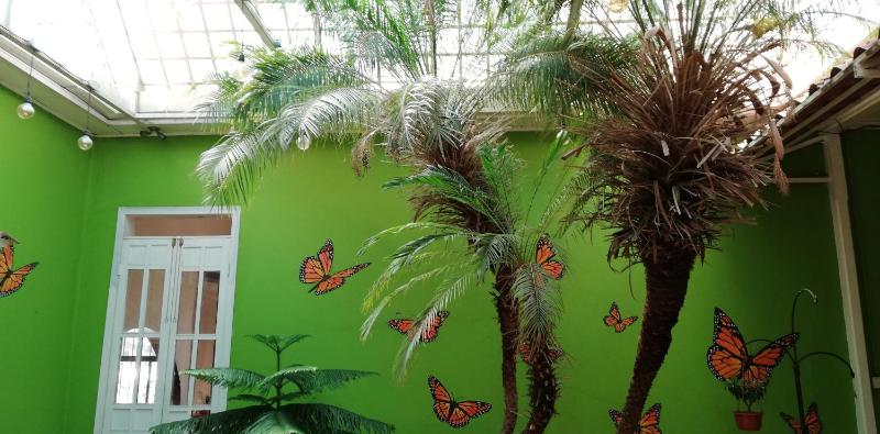 Casa Mayela Guest House - image 3