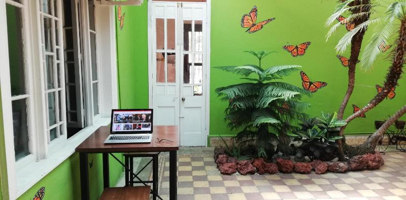 Casa Mayela Guest House - image 2