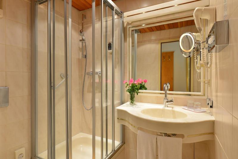 Superior Single Room image 2