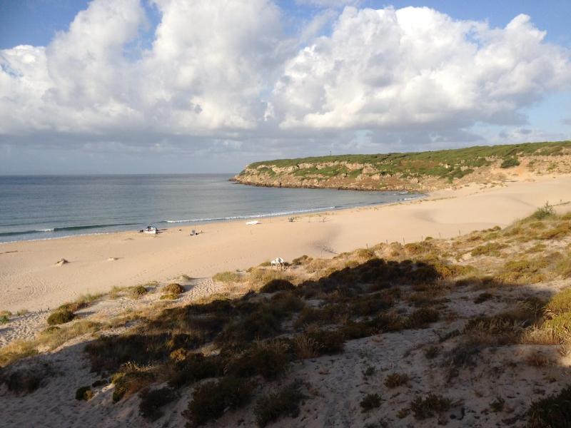 Casita de Bolonia - image 14