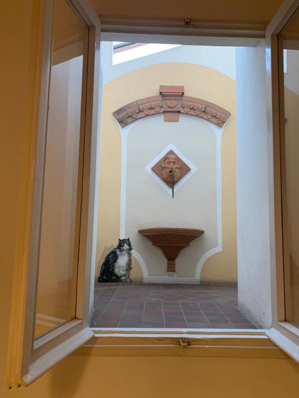 whouse suite porta di castello - image 2
