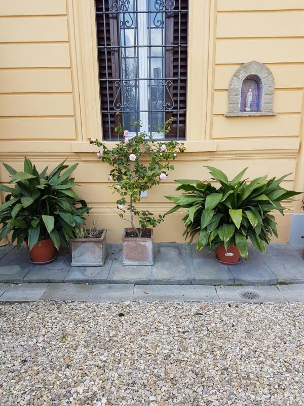 Villa Alle Rampe - image 15