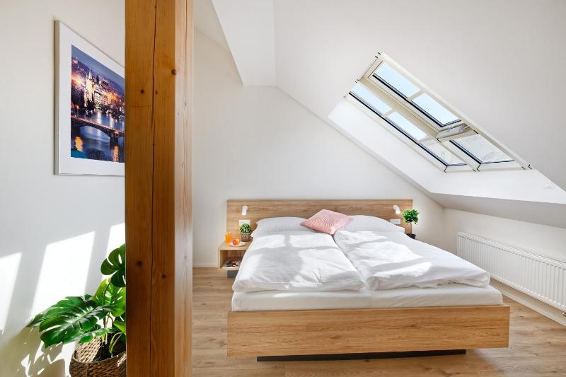 DownTown Suites Jugoslavska - image 4