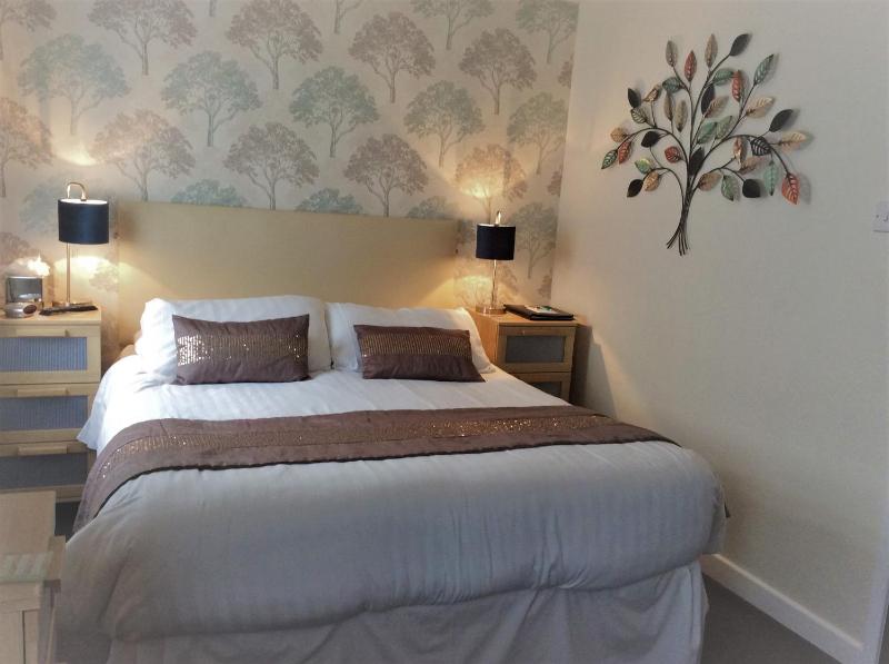 Kingsize Family Room (2 Adults + 1 Child) image 1