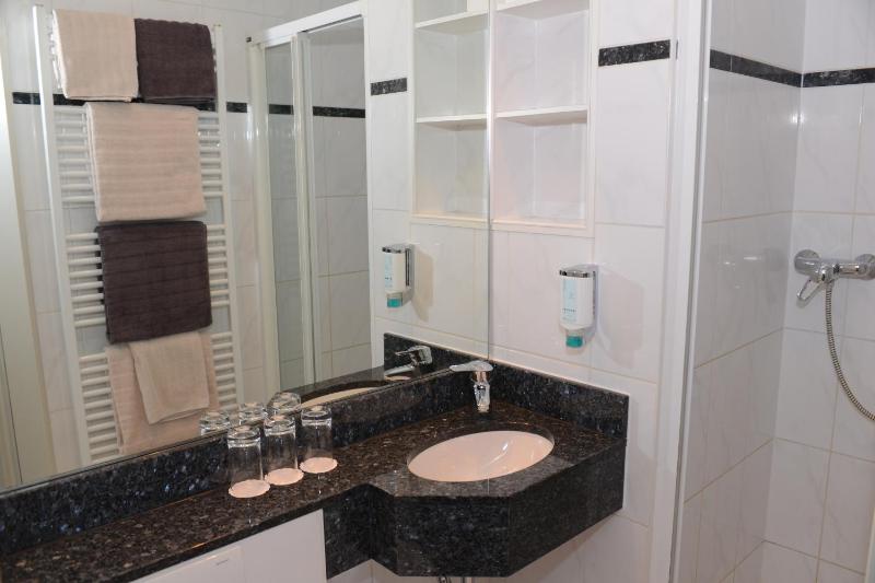 Single Room image 3