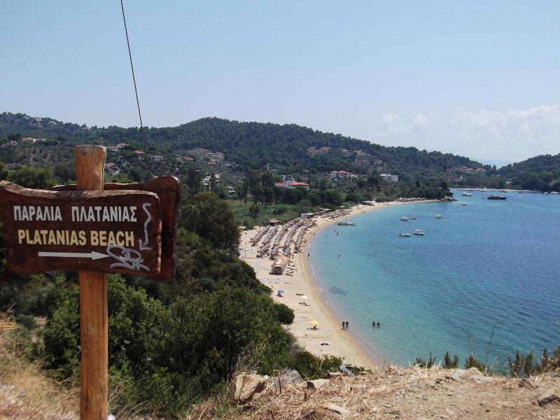 Palatino Studios - image 4