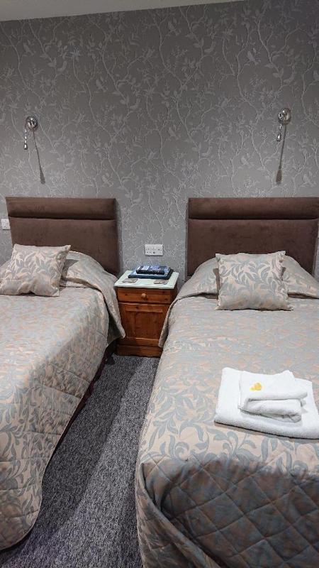 Deluxe Twin Room image 1