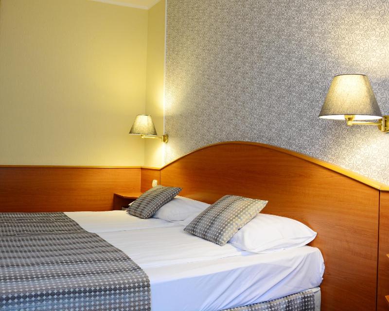 Deluxe Double Room image 4