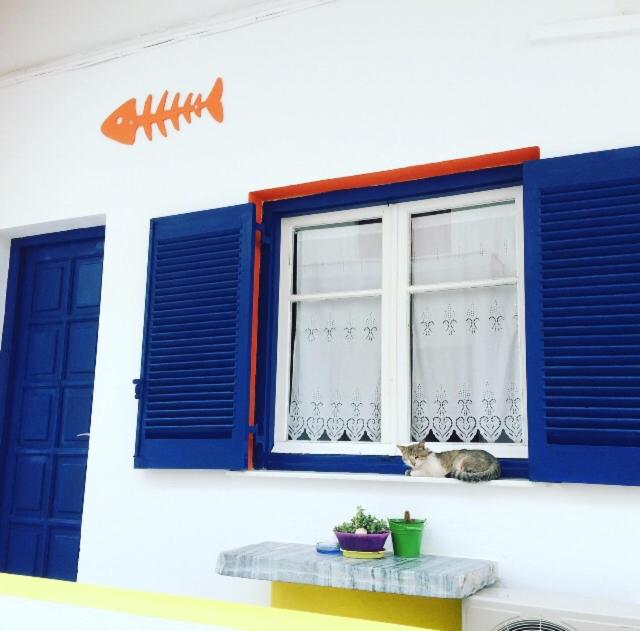 Viva Margarita - image 11
