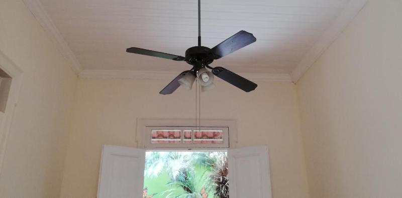 Casa Mayela Guest House - image 8
