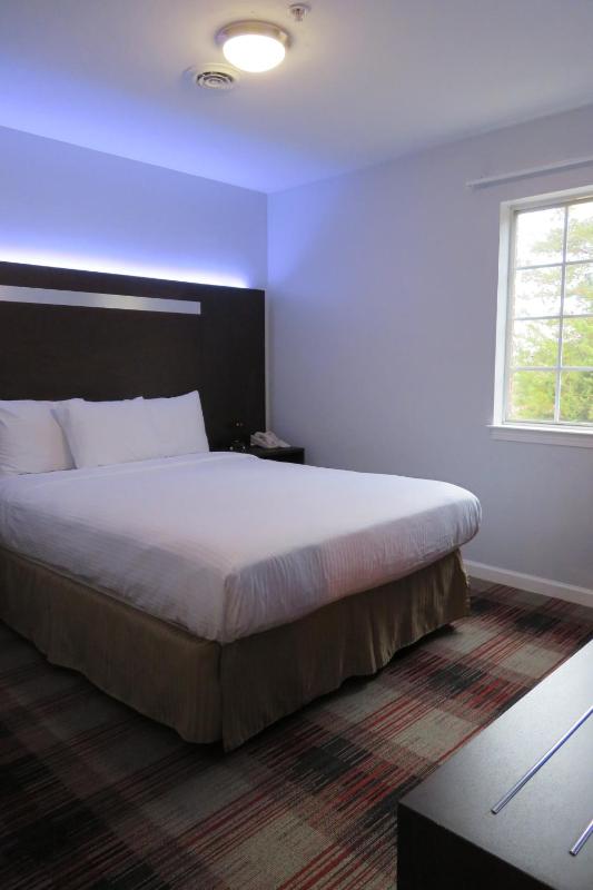 One-Bedroom Suite image 3