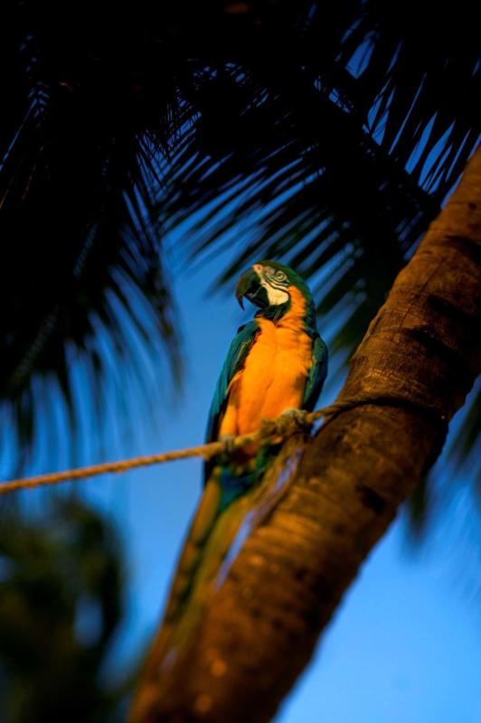 Hyatt Centric Key West Resort And Spa - image 46