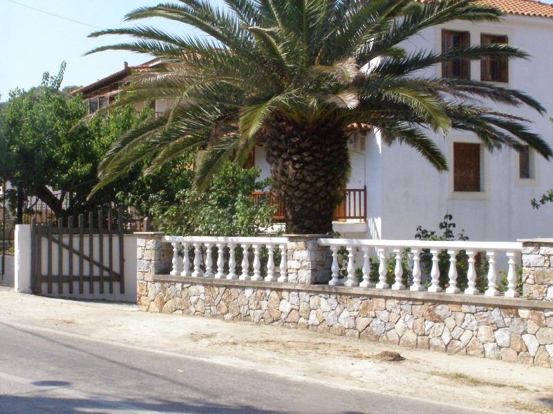 To Ktima tis Matinas - image 19