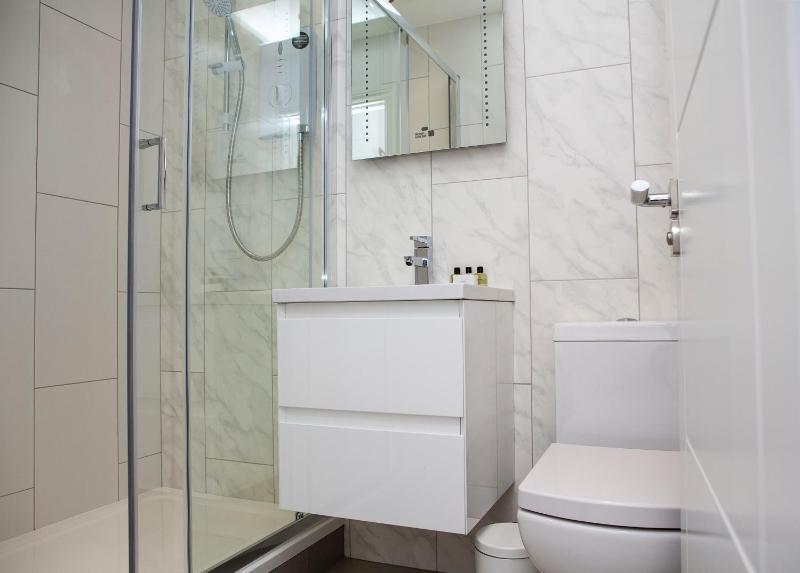 One-Bedroom Apartment image 3
