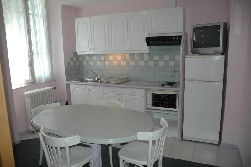 One-Bedroom Apartment image 4