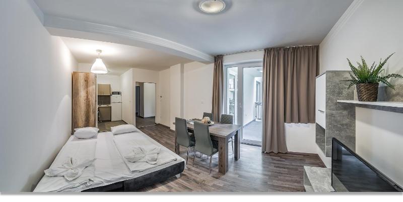 One-Bedroom Apartment image 4