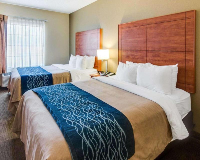 Queen Suite with Two Queen Beds - Non-Smoking image 3