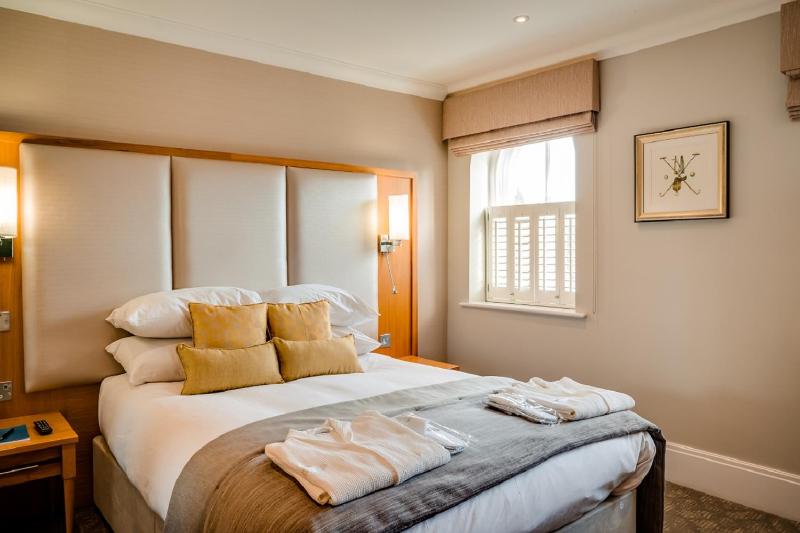 Courtyard Suite image 4
