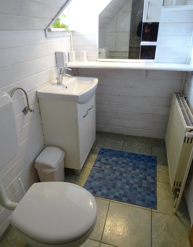 One-Bedroom Apartment with Balcony - Attic image 4