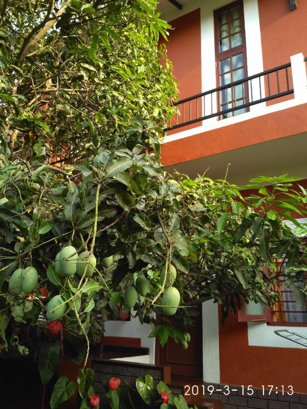 Nilas Holiday Apartments - image 41
