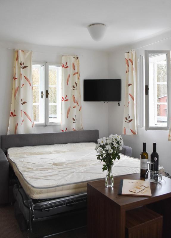 Double Room with Sofa Bed - Hajenka image 3