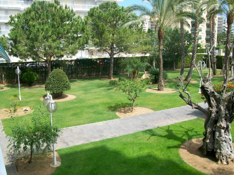 FLORESTA GANDIA - Solo Familias - image 34