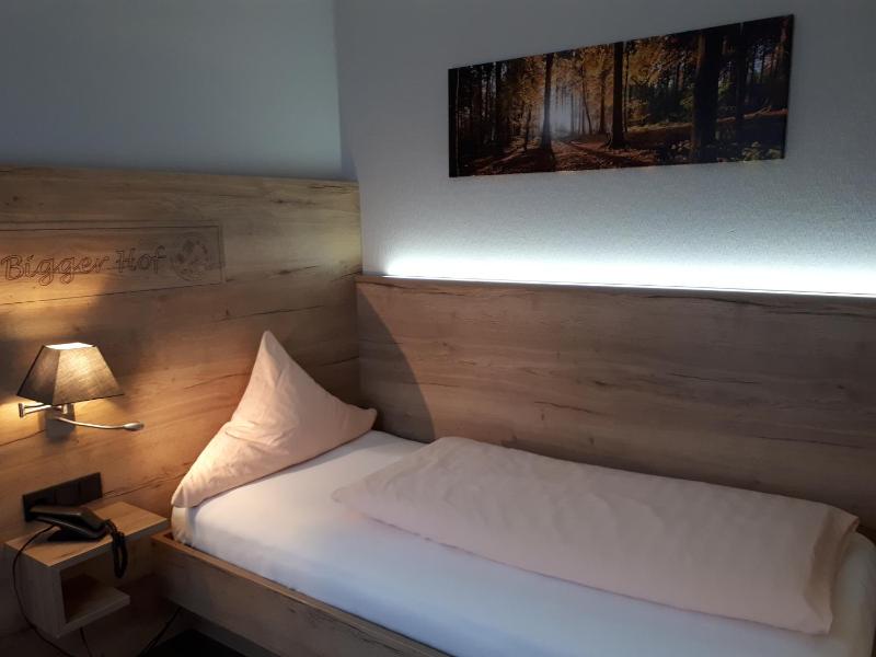 Single Room image 2