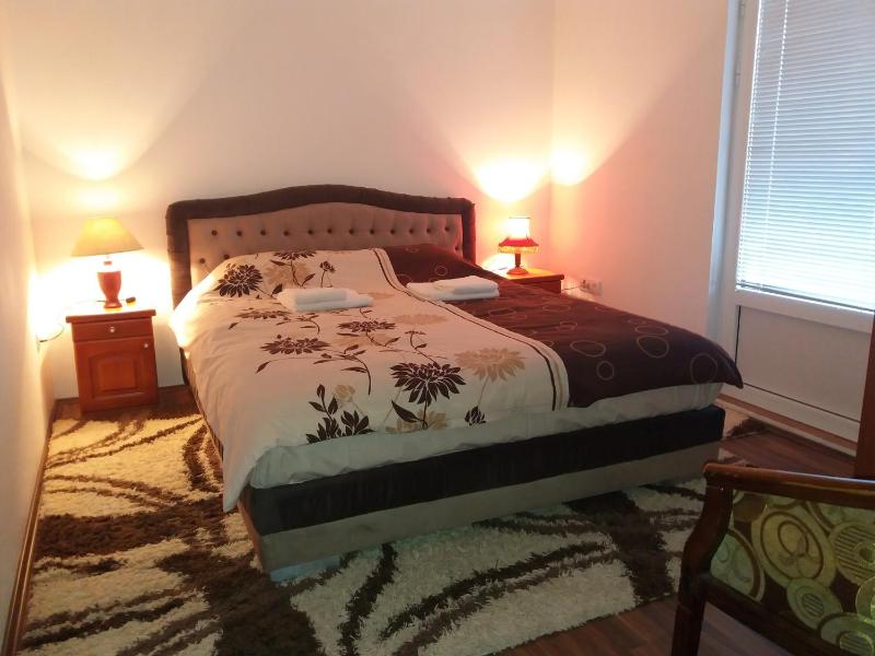 Two-Bedroom Apartment image 4