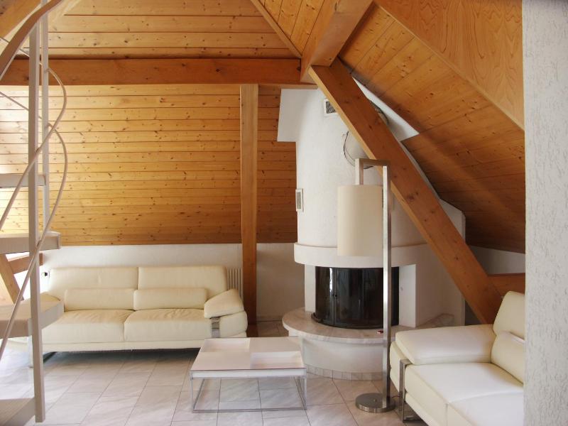 Duplex Apartment image 3