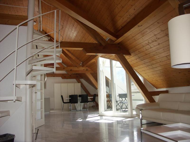 Duplex Apartment image 4
