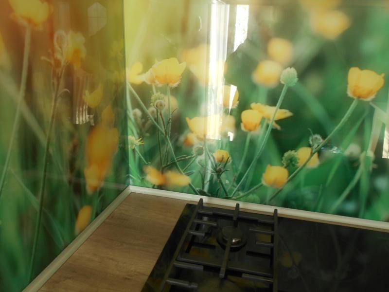 One-Bedroom Apartment image 2