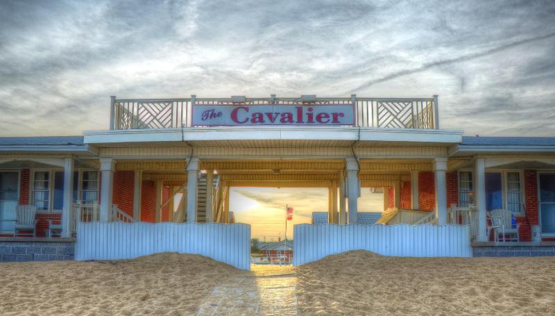 Cavalier by the Sea - image 1
