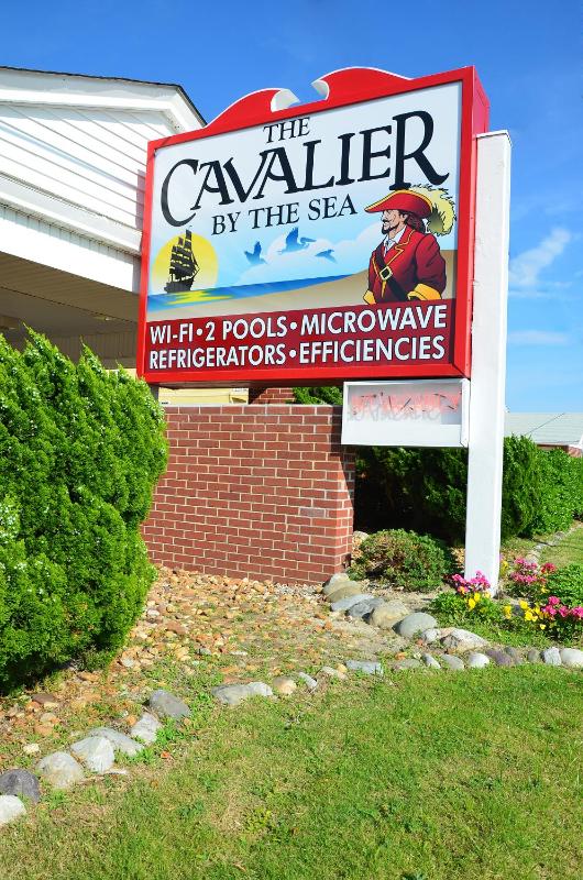 Cavalier by the Sea - image 45
