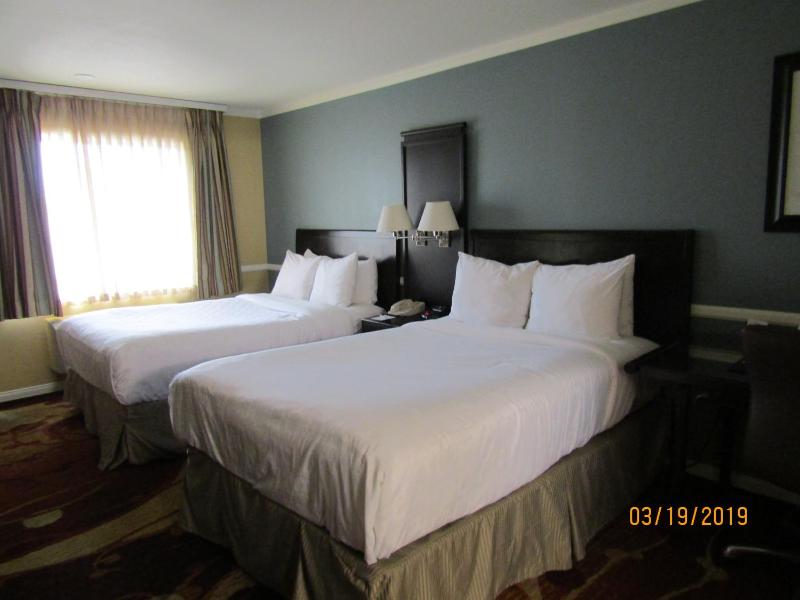 Standard Double Room with Two Double Beds image 4
