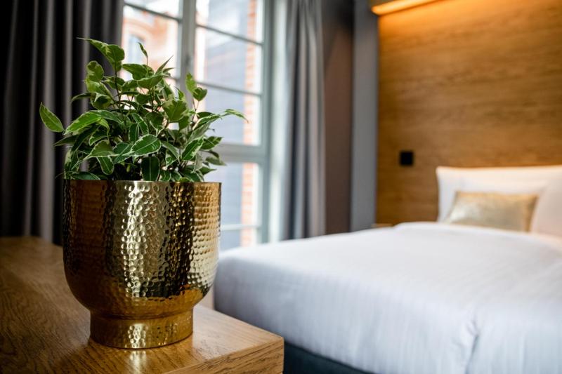 Standard Double or Twin Room image 4