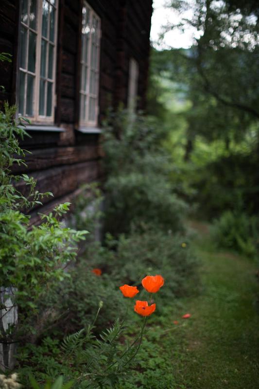 The Priestresidence image 3