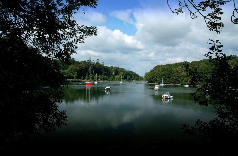 Carrigaline Court Hotel & Leisure Centre - image 7