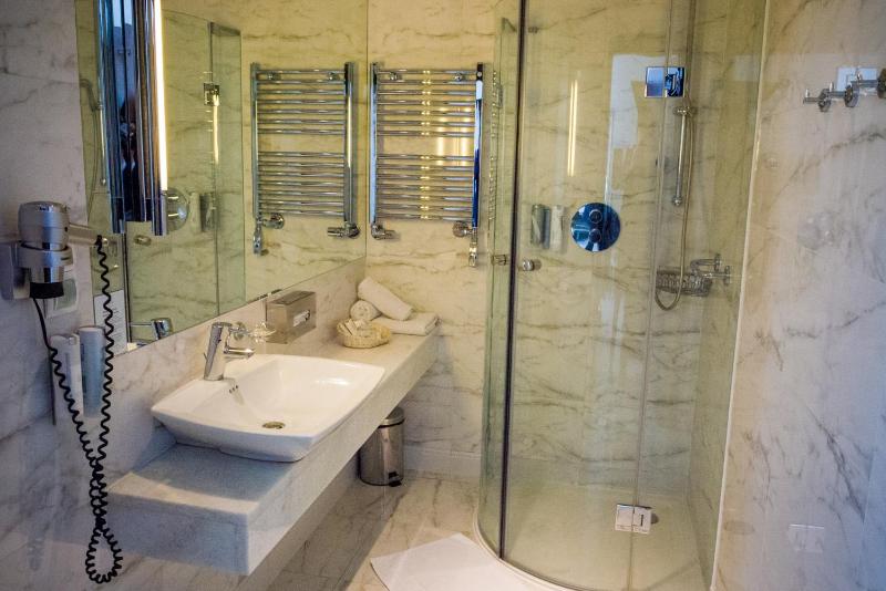 Large Single Room image 1