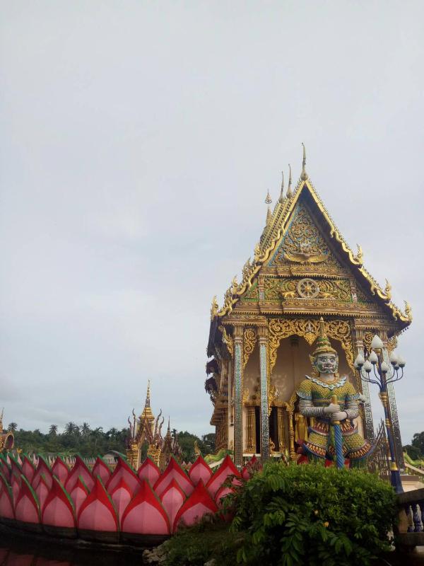 Meewaya Hotel - image 3