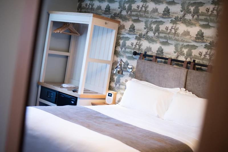 Deluxe Double Room image 4
