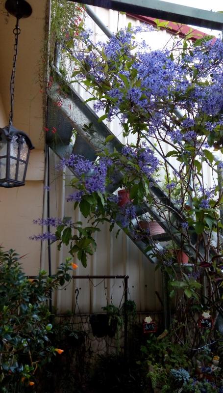 Pulisen Homestay - image 43
