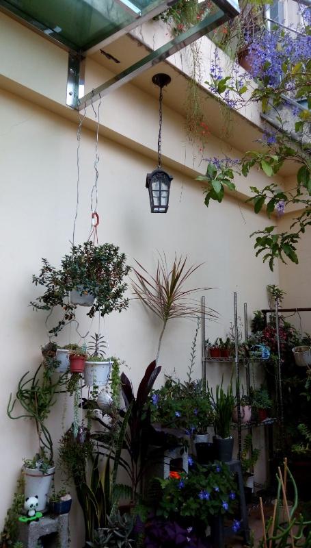 Pulisen Homestay - image 15