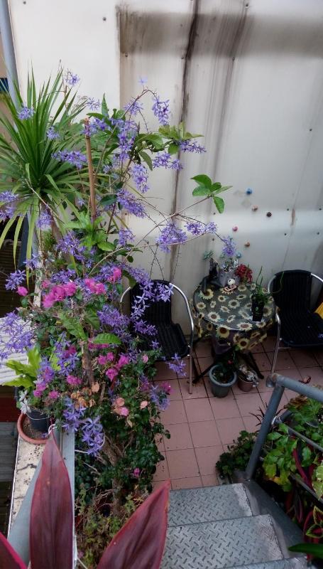 Pulisen Homestay - image 26