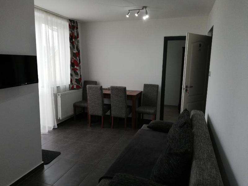 One-Bedroom Apartment image 3