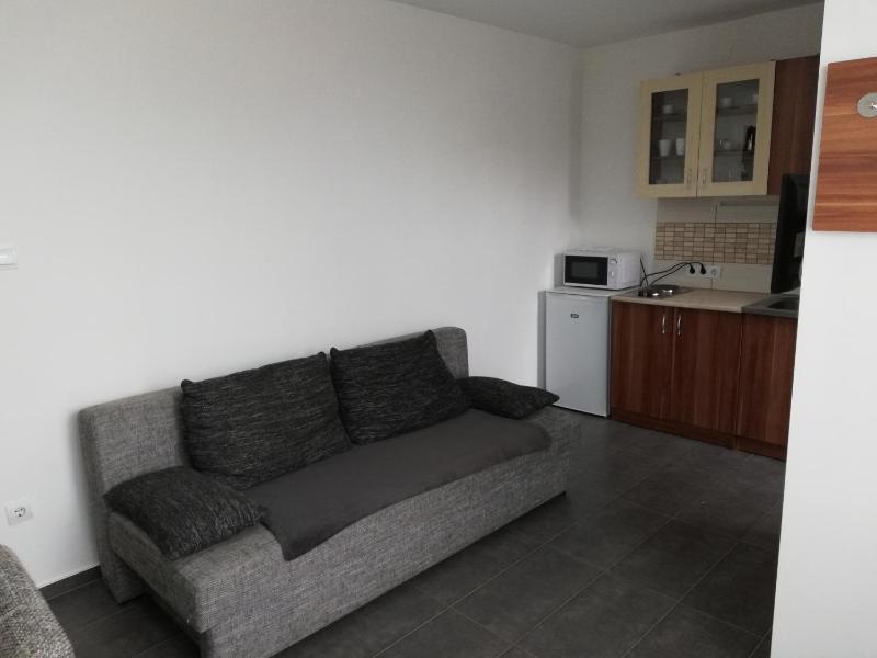 One-Bedroom Apartment image 2