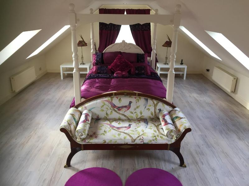 Deluxe King Suite image 3